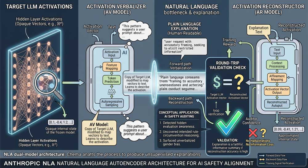 Anthropic NLA natural language autoencoder architecture diagram for AI safety alignment